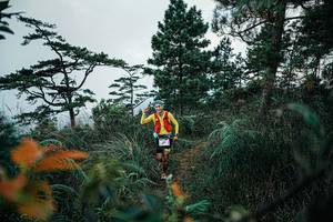 BIB: 
                            <button type="button" onclick="openModal(25260429)" class="btn btn-primary btn-sm float-right btn-popup" data-toggle="modal" data-target=".modal-high-quality">
                        <i class="fas fa-shopping-cart"></i> Add to Cart
                    </button>
                                            <button type="button" onclick="isThisMe(25260429, true)" class="btn btn-success btn-sm float-right btn-popup btn-isme hidden" data-toggle="tooltip" data-placement="bottom" title="นี่คือรูปของคุณใช่ไหม คลิกที่นี่เพื่อเอาเข้าอัลบั้ม">
                        <i class="fas fa-plus"></i> Add to album
                    </button>
                    <button type="button" onclick="isThisMe(25260429, false)" class="btn btn-warning btn-sm float-right btn-popup btn-isnotme hidden">
                        <i class="fas fa-ban"></i> Remove from album
                    </button>